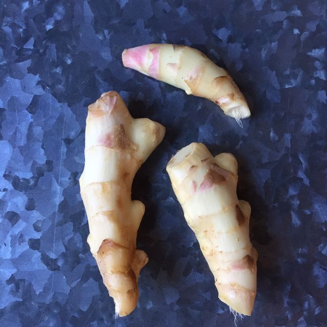 Young-ginger Young-ginger