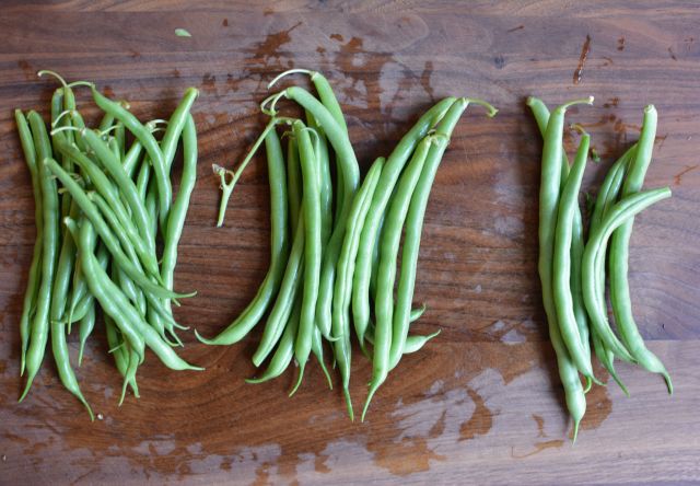 Green-beans-coconut-sorting Green-beans-coconut-sorting