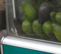 Avocados_in_vietnam_2