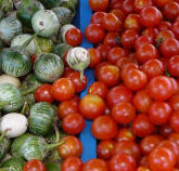 Thai_eggplant_cherry_tomato_2