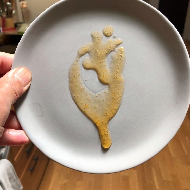 apricot ginger jam test