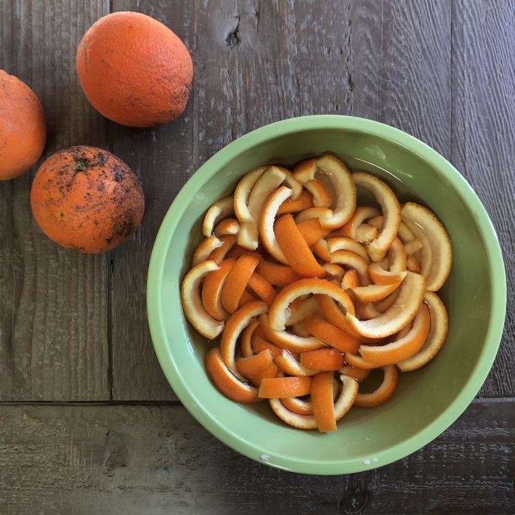 Candied Orange Peels Recipe