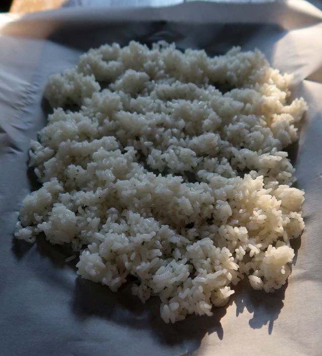 Fried rice recipe tips