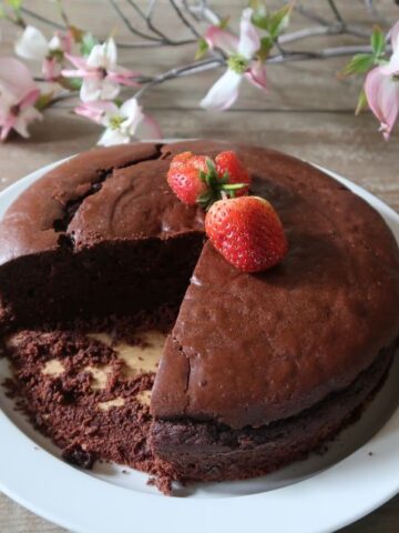 Very Versatile Chocolate Cake