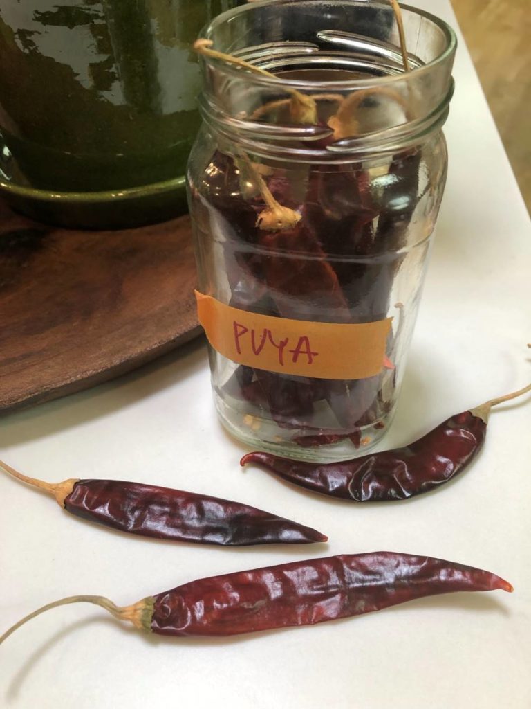puya chiles