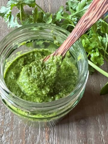 Cilantro Mint Chutney