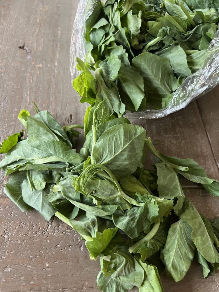 pea tips da dou miao