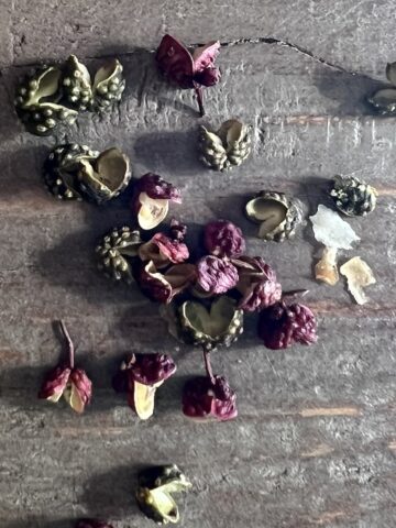 sichuan peppercorns